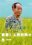 在线观看 禁无码精品软件